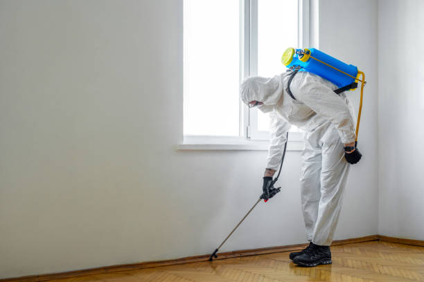 Best Commercial Pest Control  in East Sparta, OH